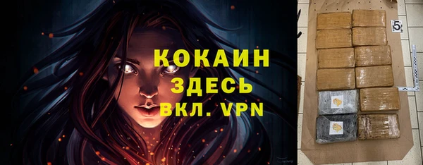 гидра Семилуки