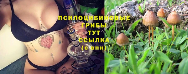 соль курить ск Балабаново